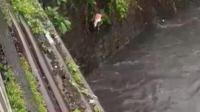 A couple of people in the vicinity jumped into the water but failed to locate the infant. (Screengrab) A couple of people in the vicinity jumped into the water but failed to locate the infant. (Screengrab)
