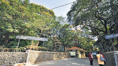 Campus of TISS Deonar, Mumbai Pic: Kedar Bhat Campus of TISS Deonar, Mumbai Pic: Kedar Bhat