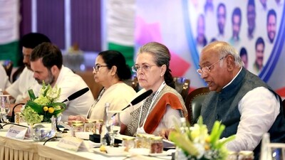 Trinamool MP Saket Gokhale said parties of INDIA have differences but they will put those aside. Trinamool MP Saket Gokhale said parties of INDIA have differences but they will put those aside.