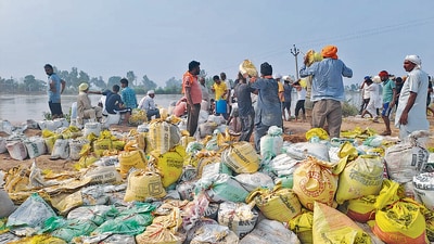 Residents of Banarsi village of Sangrur district led from the front in plugging the breach in the embankment of the Ghaggar. (HT photo) Residents of Banarsi village of Sangrur district led from the front in plugging the breach in the embankment of the Ghaggar. (HT photo)