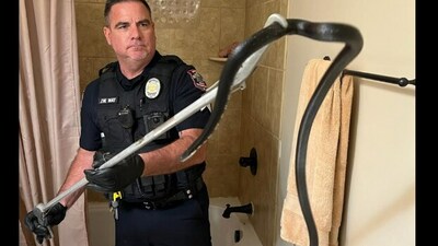 US police catches snake. (Facebook/@Graham Police Department) US police catches snake. (Facebook/@Graham Police Department)
