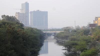 The Shahdara drain, passing through in Noida. (HT Archive)