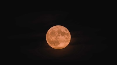 National Moon Day 2023: Date, history, significance (Pexels)