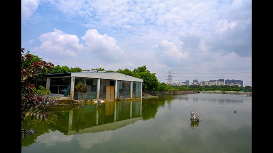 In the meantime, the administration is carrying out sanitation efforts in areas where the floodwaters have receded. (Sunil Ghosh/HT Photo)