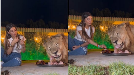 Snapshot of woman and lion eating from the same plate. (Instagram/@Rak Zoo)