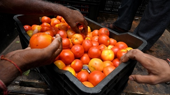 People buying tomatoes from the straw imposed by the Government of India for ? 80 per kg tomatoes in sector 4, in Noida. (Photo by Sunil Ghosh / Hindustan Times)
