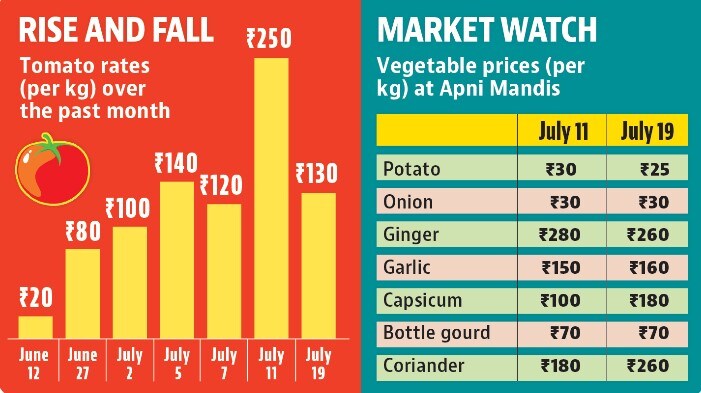 Tomato rates had shot up to an all-time high of ₹250 per kg on July 11. (HT) Tomato rates had shot up to an all-time high of ₹250 per kg on July 11. (HT)