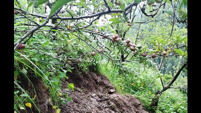 A landslide swept away a portion of an apple orchard after heavy rain in Khunni panchayat of Rampur in Shimla district on Thursday. (HT Photo) A landslide swept away a portion of an apple orchard after heavy rain in Khunni panchayat of Rampur in Shimla district on Thursday. (HT Photo)