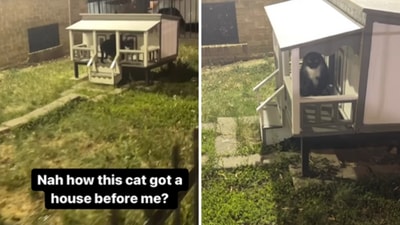 The image shows a cat sitting inside a tiny house. (Instagram/@yothatscrazypod) The image shows a cat sitting inside a tiny house. (Instagram/@yothatscrazypod)