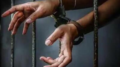 The prosecution produced seven witnesses before the court who recorded their statements during trial. (Representative file image) The prosecution produced seven witnesses before the court who recorded their statements during trial. (Representative file image)