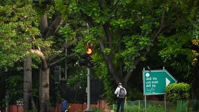 Trees cover a traffic signal near the India Habitat Centre in Lodhi Road, Delhi on Thursday. (Raj K Raj/HT Photo) Trees cover a traffic signal near the India Habitat Centre in Lodhi Road, Delhi on Thursday. (Raj K Raj/HT Photo)