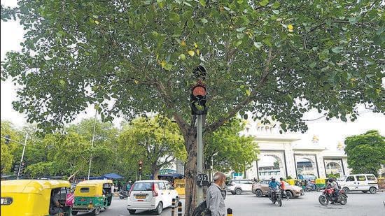 A traffic signal covered by a tree near Bangla Sahib in Delhi on Thursday. (Sanchit Khanna/ HT Photo)
