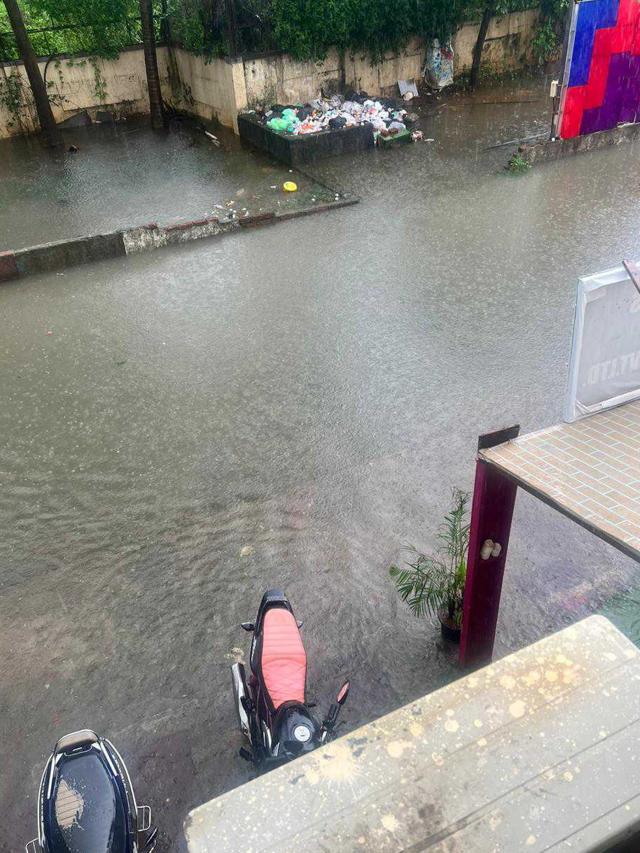 Water logged in front of TV set. Water logged in front of TV set.