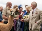 Britain's King Charles III and Britain's Queen Camilla meet livestock and their owners at Theatr Brycheiniog on July 20, 2023 in Brecon, south Wales. Their Majesties The King and Queen will meet members of the local community and celebrate the local volunteering and public service sector at Theatr Brycheiniog. (Photo by JOANN RANDLES / POOL / AFP)