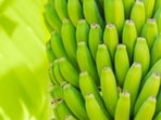 Green bananas or unripe bananas may not have a great taste like the ripe ones, but they can be boiled, steamed or fried to whip up delicious recipes. Nutritionist Lovneet Batra in her recent Instagram post talks about the many benefits of green banana.&nbsp;
