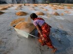 A worker carries boiled rice in a wheelbarrow to spread it for drying at a rice mill on the outskirts of Kolkata, India.
