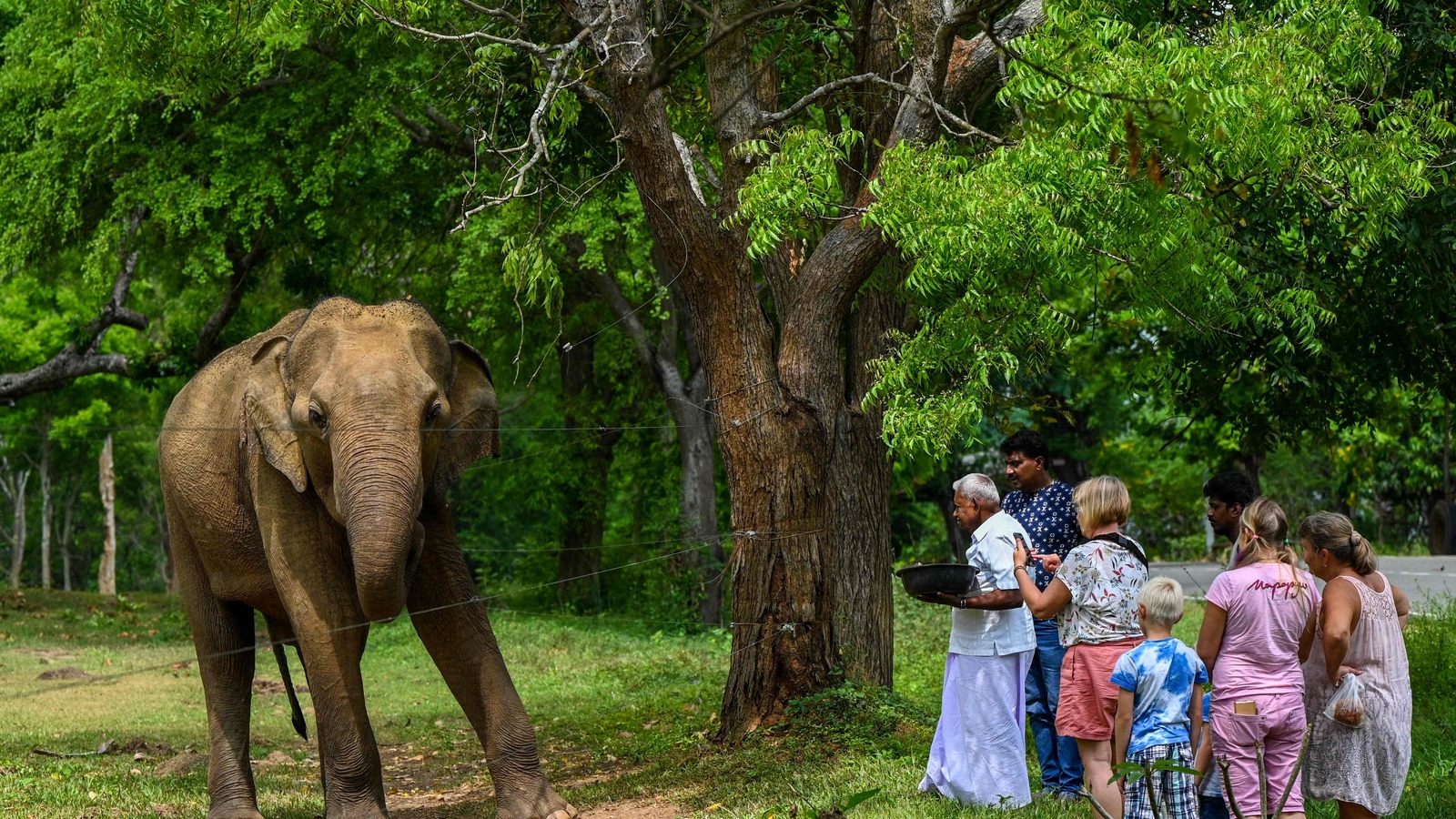 Explained: How climate change will impact animals - Vimarsana News