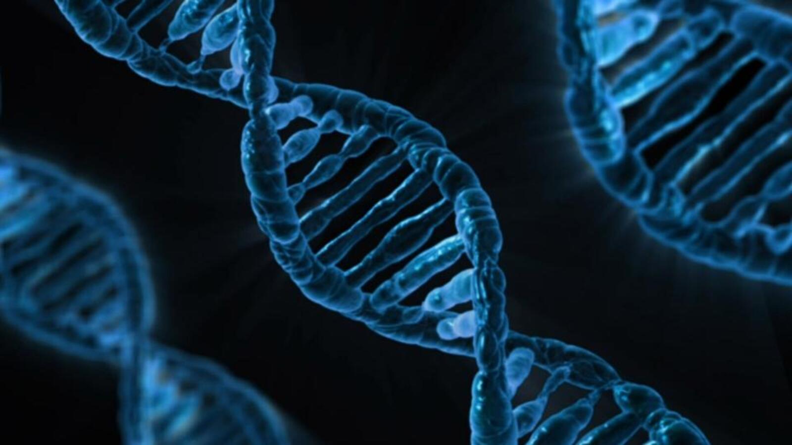 MP: Parents seek IVF-born boy's body, DNA mismatch a conundrum for cops | Latest News India - Vimarsana News