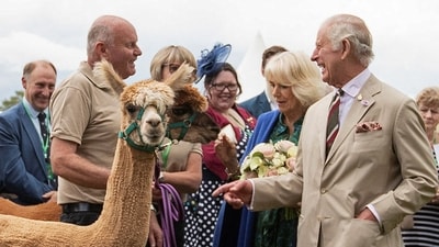 Britain's King Charles III and Britain's Queen Camilla meet livestock and their owners at Theatr Brycheiniog on July 20, 2023 in Brecon, south Wales. Their Majesties The King and Queen will meet members of the local community and celebrate the local volunteering and public service sector at Theatr Brycheiniog. (Photo by JOANN RANDLES / POOL / AFP) (AFP) Britain's King Charles III and Britain's Queen Camilla meet livestock and their owners at Theatr Brycheiniog on July 20, 2023 in Brecon, south Wales. Their Majesties The King and Queen will meet members of the local community and celebrate the local volunteering and public service sector at Theatr Brycheiniog. (Photo by JOANN RANDLES / POOL / AFP) (AFP)
