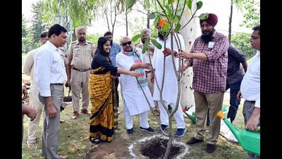MLA Gurpreet Bassi Gogi and MC Commissioner Shena Aggarwal launched a plantation drive along Sidhwan canal in Ludhiana. (HT PHOTO)