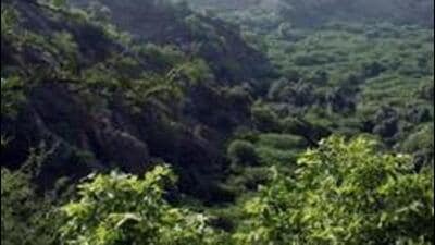 The northeastern states oppose specific clauses in the forest amendment bill 2023. (HT Archive)