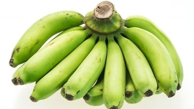 Both the pectin and resistant starch in green bananas may help control blood sugar after meals. Unripe green bananas also rank low on the glycaemic index, with a value of 30. (Freepik) Both the pectin and resistant starch in green bananas may help control blood sugar after meals. Unripe green bananas also rank low on the glycaemic index, with a value of 30. (Freepik)