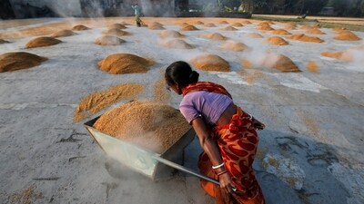 A worker carries boiled rice in a wheelbarrow to spread it for drying at a rice mill on the outskirts of Kolkata, India. (REUTERS)