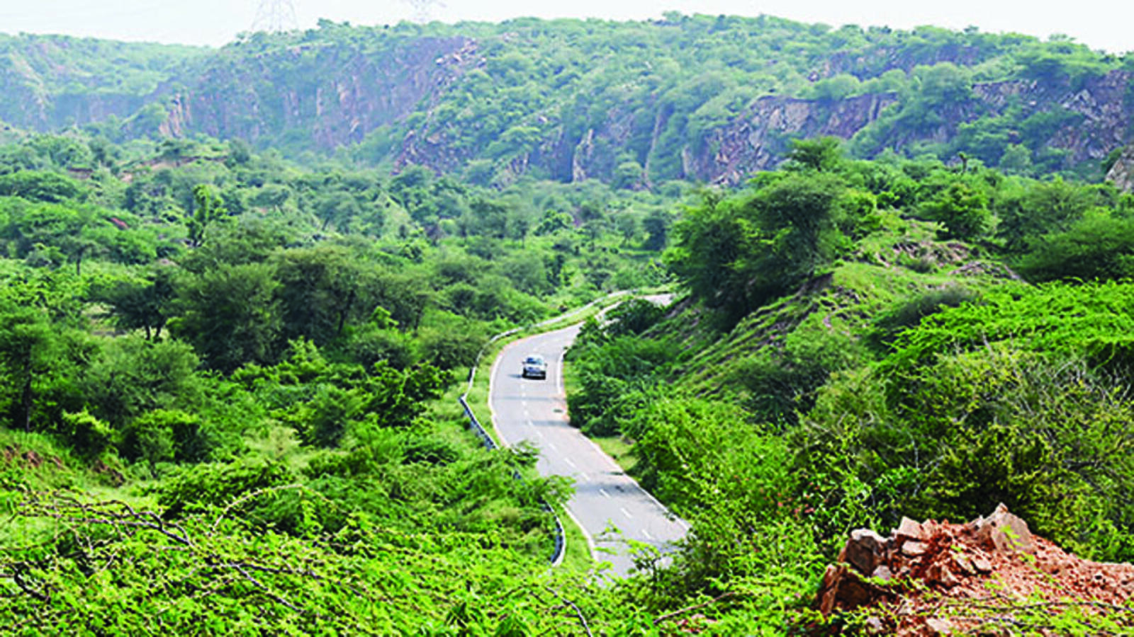 Activists share concerns over forest bill provisions - Vimarsana News