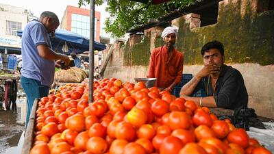 Currently, the tomatoes are priced between ₹100 to 120 per kilogram in Bengaluru. (HT Photo) Currently, the tomatoes are priced between ₹100 to 120 per kilogram in Bengaluru. (HT Photo)