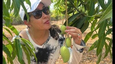 Shubhangi Atre at a mango grove Shubhangi Atre at a mango grove