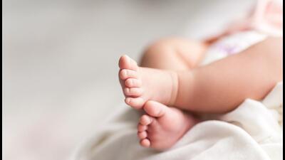 The January to June cumulative SRB of Haryana has come down to 906 female births per 1,000 males from 917 in December 2022 (Shutterstock) The January to June cumulative SRB of Haryana has come down to 906 female births per 1,000 males from 917 in December 2022 (Shutterstock)