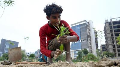 The forest department planted 126,750 saplings, while other local government bodies, schoolchildren, NGOs, and the general public planted 978,324 saplings. (Sunil Ghosh/HT Photo)