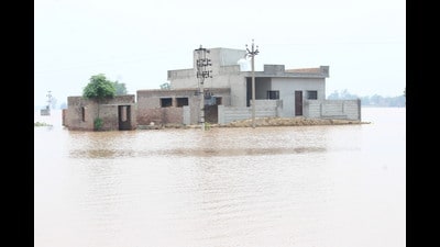The officials said there are over 50 breaches on the embankment of Ghaggar, which are yet to be plugged The officials said there are over 50 breaches on the embankment of Ghaggar, which are yet to be plugged