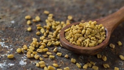 Regular consumption of fenugreek seeds helps in lowering total cholesterol, LDL (bad cholesterol) and triglyceride levels in the blood while increasing beneficial HDL cholesterol levels. This is because these seeds contain steroidal saponins that slow down cholesterol absorption of the intestines (Shutterstock) Regular consumption of fenugreek seeds helps in lowering total cholesterol, LDL (bad cholesterol) and triglyceride levels in the blood while increasing beneficial HDL cholesterol levels. This is because these seeds contain steroidal saponins that slow down cholesterol absorption of the intestines (Shutterstock)