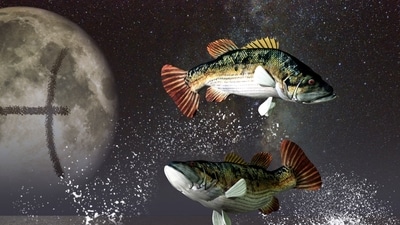 Weekly Horoscope Pisces, July 23 - 29, 2023: This week is all about going with the flow for Pisces.