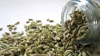 Fennel seeds: They are said to help with the increase in the production of breastmilk supply. Fennel plants have oestrogen-like properties that serve the purpose. (Pixabay) Fennel seeds: They are said to help with the increase in the production of breastmilk supply. Fennel plants have oestrogen-like properties that serve the purpose. (Pixabay)