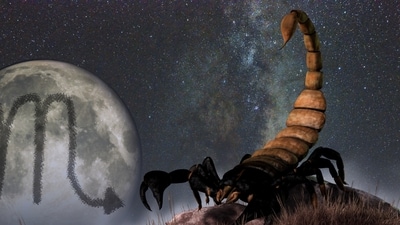 Weekly Horoscope Scorpio, July 23 - 29, 2023: The stars are aligned in your favor, Scorpio.