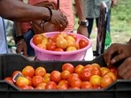 People buying tomatoes from the straw imposed by the government for 80 per kg tomatoes in sector 4, in Noida, India, on Tuesday. (Photo by Sunil Ghosh / Hindustan Times) 