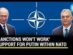 'Europe Suffering': Putin Gets Support From Within NATO Against Western Sanctions Over Ukraine 'Europe Suffering': Putin Gets Support From Within NATO Against Western Sanctions Over Ukraine