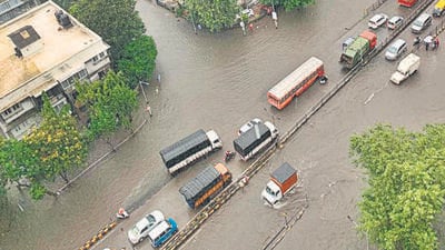 Two chronic waterlogging spots become flood-free this year