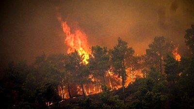 Thousands of tourists and island residents sheltered in schools and indoor stadiums as a wildfire raged on the Greek island of Rhodes for six days.&nbsp; (AP)