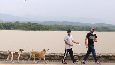 Chandigarh residents dodging stray dogs at the Sukhna Lake. (HT FIle) Chandigarh residents dodging stray dogs at the Sukhna Lake. (HT FIle)