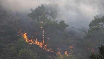 A wildfire burns in a forest near Lardos, on the island of Rhodes. The wildfire, which has burned for nearly a week, was fanned by strong winds and rekindled along the southeastern part of the island.&nbsp; (REUTERS)