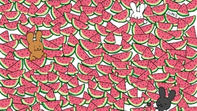 Brain Teaser: Can you find five seedless watermelons for bunnies to munch on? (Gergely Dudás) Brain Teaser: Can you find five seedless watermelons for bunnies to munch on? (Gergely Dudás)