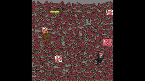 Brain Teaser: Five seedless watermelons are highlighted in this picture. (Gergely Dudás) Brain Teaser: Five seedless watermelons are highlighted in this picture. (Gergely Dudás)