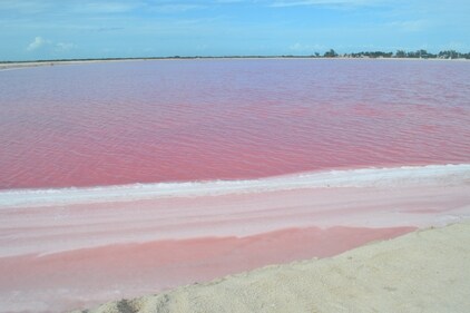 Las Coloradas in Mexico is a surreal paradise of pink salt lakes, where nature paints an awe-inspiring landscape. (Zyanya BMO on Unsplash) Las Coloradas in Mexico is a surreal paradise of pink salt lakes, where nature paints an awe-inspiring landscape. (Zyanya BMO on Unsplash)