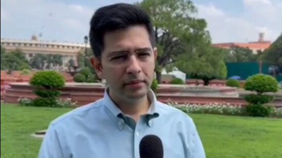 Aam Aadmi Party (AAP) leader Raghav Chadha (Twitter/@ANI)
