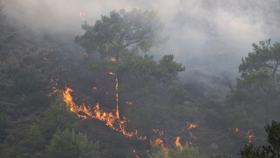 A wildfire burns in a forest near Lardos, on the island of Rhodes. The wildfire, which has burned for nearly a week, was fanned by strong winds and rekindled along the southeastern part of the island.&nbsp;(REUTERS)