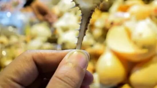 Diabetes, respiratory diseases or liver problems can be denoted by nails turning yellow.&nbsp;(Unsplash)