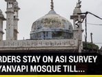 SC ORDERS STAY ON ASI SURVEY OF GYANVAPI MOSQUE TILL...